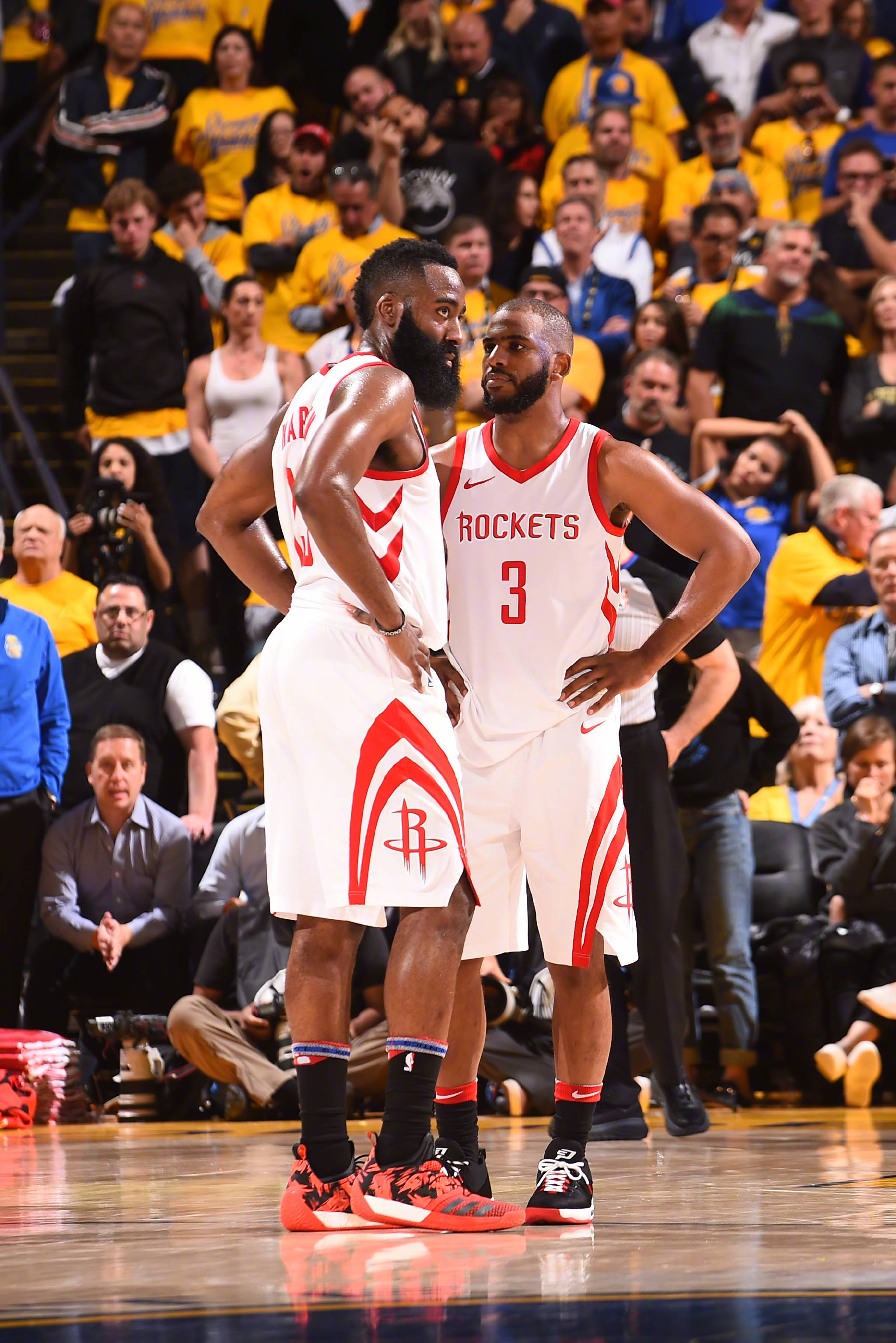 一片大好的 一片大好的