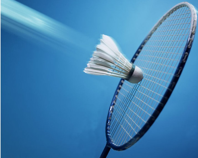 的有素质 的有素质